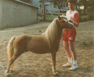 Sun's Realization III 